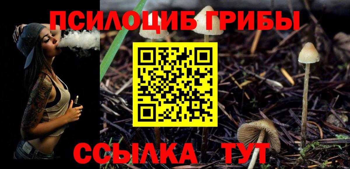 Псилоцибиновые грибы MAGIC MUSHROOMS Луга